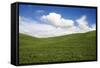Rolling Hills of Green Spring Wheat and Puffy Clouds-Terry Eggers-Framed Stretched Canvas