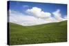 Rolling Hills of Green Spring Wheat and Puffy Clouds-Terry Eggers-Stretched Canvas