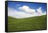 Rolling Hills of Green Spring Wheat and Puffy Clouds-Terry Eggers-Framed Stretched Canvas