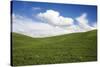 Rolling Hills of Green Spring Wheat and Puffy Clouds-Terry Eggers-Stretched Canvas