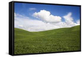 Rolling Hills of Green Spring Wheat and Puffy Clouds-Terry Eggers-Framed Stretched Canvas