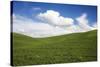 Rolling Hills of Green Spring Wheat and Puffy Clouds-Terry Eggers-Stretched Canvas