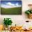 Rolling Hills of Green Spring Wheat and Puffy Clouds-Terry Eggers-Framed Stretched Canvas displayed on a wall