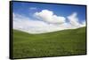 Rolling Hills of Green Spring Wheat and Puffy Clouds-Terry Eggers-Framed Stretched Canvas