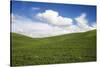 Rolling Hills of Green Spring Wheat and Puffy Clouds-Terry Eggers-Stretched Canvas