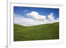 Rolling Hills of Green Spring Wheat and Puffy Clouds-Terry Eggers-Framed Photographic Print