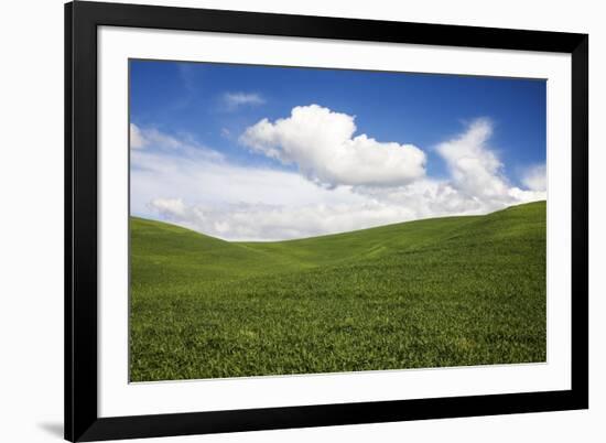 Rolling Hills of Green Spring Wheat and Puffy Clouds-Terry Eggers-Framed Photographic Print