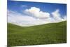 Rolling Hills of Green Spring Wheat and Puffy Clouds-Terry Eggers-Mounted Photographic Print