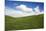 Rolling Hills of Green Spring Wheat and Puffy Clouds-Terry Eggers-Mounted Photographic Print