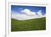 Rolling Hills of Green Spring Wheat and Puffy Clouds-Terry Eggers-Framed Photographic Print