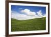 Rolling Hills of Green Spring Wheat and Puffy Clouds-Terry Eggers-Framed Photographic Print