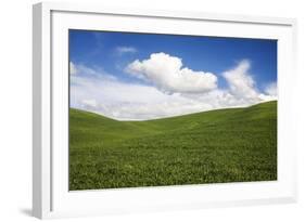 Rolling Hills of Green Spring Wheat and Puffy Clouds-Terry Eggers-Framed Photographic Print