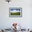 Rolling Hills of Green Spring Wheat and Puffy Clouds-Terry Eggers-Framed Photographic Print displayed on a wall