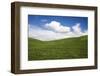 Rolling Hills of Green Spring Wheat and Puffy Clouds-Terry Eggers-Framed Photographic Print