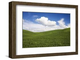 Rolling Hills of Green Spring Wheat and Puffy Clouds-Terry Eggers-Framed Photographic Print