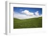 Rolling Hills of Green Spring Wheat and Puffy Clouds-Terry Eggers-Framed Photographic Print