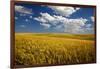 Rolling Hills of Harvest Wheat-Terry Eggers-Framed Photographic Print