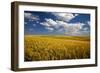 Rolling Hills of Harvest Wheat-Terry Eggers-Framed Photographic Print