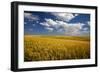 Rolling Hills of Harvest Wheat-Terry Eggers-Framed Photographic Print