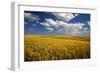 Rolling Hills of Harvest Wheat-Terry Eggers-Framed Photographic Print