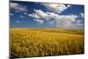 Rolling Hills of Harvest Wheat-Terry Eggers-Mounted Photographic Print