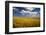 Rolling Hills of Harvest Wheat-Terry Eggers-Framed Photographic Print