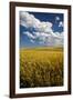 Rolling Hills of Harvest Wheat-Terry Eggers-Framed Photographic Print