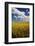 Rolling Hills of Harvest Wheat-Terry Eggers-Framed Photographic Print