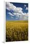 Rolling Hills of Harvest Wheat-Terry Eggers-Framed Photographic Print