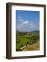 Rolling Hills of Spring Wheat Fields, Tuscany, Italy-Terry Eggers-Framed Photographic Print