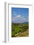 Rolling Hills of Spring Wheat Fields, Tuscany, Italy-Terry Eggers-Framed Photographic Print