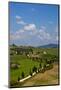 Rolling Hills of Spring Wheat Fields, Tuscany, Italy-Terry Eggers-Mounted Photographic Print