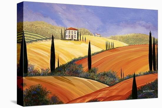 Rolling Hills Of Tuscany-Herb Dickinson-Stretched Canvas