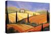 Rolling Hills Of Tuscany-Herb Dickinson-Stretched Canvas