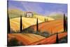 Rolling Hills Of Tuscany-Herb Dickinson-Stretched Canvas