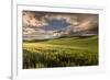 Rolling hills of wheat at sunrise, Palouse region, Washington State.-Adam Jones-Framed Premium Photographic Print