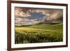 Rolling hills of wheat at sunrise, Palouse region, Washington State.-Adam Jones-Framed Premium Photographic Print