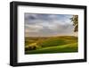 Rolling hills of wheat from Steptoe Butte near Colfax, Washington State, USA-Chuck Haney-Framed Photographic Print