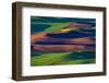 Rolling hills of wheat from Steptoe Butte near Colfax, Washington State, USA-Chuck Haney-Framed Photographic Print