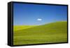 Rolling Hills of Wheat with Lone Cloud-Terry Eggers-Framed Stretched Canvas