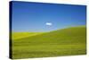 Rolling Hills of Wheat with Lone Cloud-Terry Eggers-Stretched Canvas