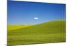 Rolling Hills of Wheat with Lone Cloud-Terry Eggers-Mounted Photographic Print