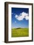 Rolling Hills of Wheat-null-Framed Photographic Print