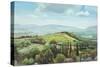 Rolling Hills, Pistoia, Tuscany-Trevor Neal-Stretched Canvas