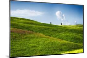 Rolling Hills with Cypress Trees, Tuscany, Italy-George Oze-Mounted Photographic Print