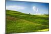 Rolling Hills with Cypress Trees, Tuscany, Italy-George Oze-Mounted Photographic Print