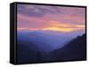 Rolling Hills-null-Framed Stretched Canvas