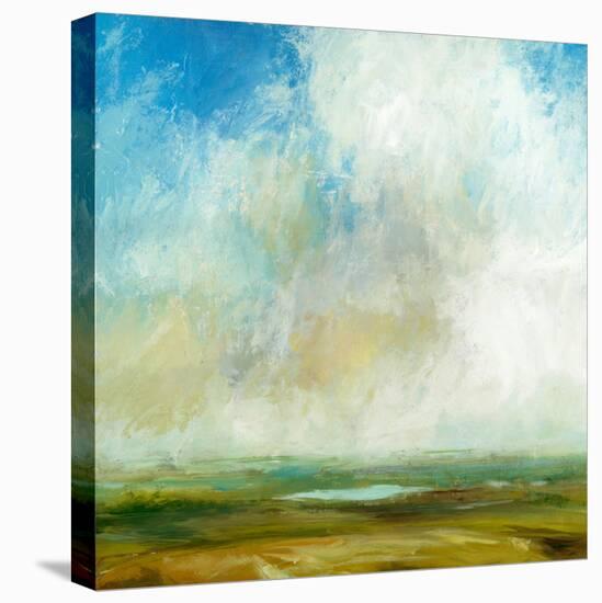 Rolling Hills-Suzanne Nicoll-Stretched Canvas