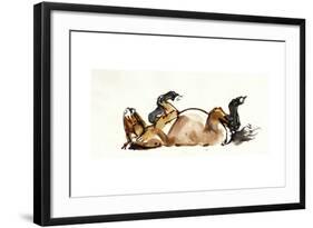 Rolling Horse (Przewalski), 2013-Mark Adlington-Framed Giclee Print