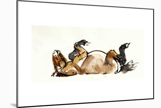 Rolling Horse (Przewalski), 2013-Mark Adlington-Mounted Giclee Print